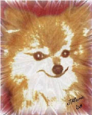 zoeyupload.jpg