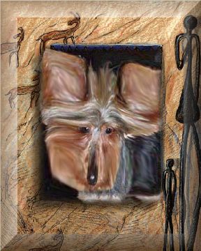 1abstractyorki.jpg