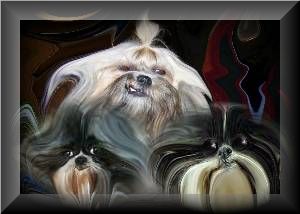abstractcomedyplus.jpg