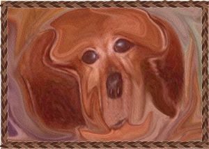 abstractpetrulyyours.jpg