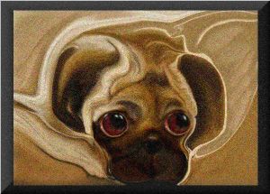 abstractpugglywishful.jpg