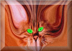abstracttabbyhaseyesforu.jpg