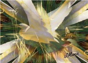 egretfoxweb.jpg