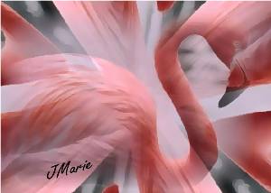 flamingopinkflingweb.jpg