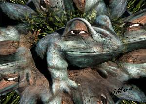 surroundedbywoodweb.jpg