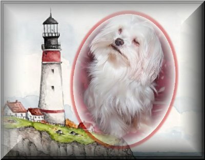 vzanalighthouse3d.jpg