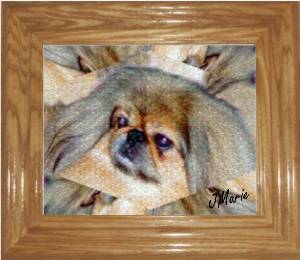 webfabianframe1.jpg